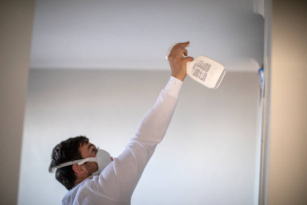 Best Bathroom Mold Remediation in Kearny, NJ