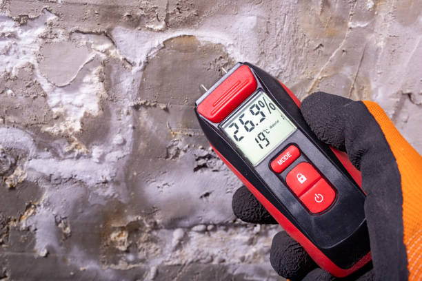 Best Preventive Mold Services in Kearny, NJ