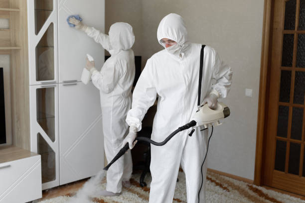 Best Post-Flood Mold Remediation in Kearny, NJ